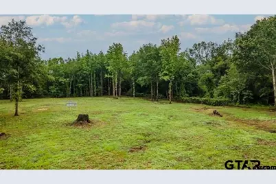 Lot 50 Pr 7011, Frankston, TX 75763 - Photo 4