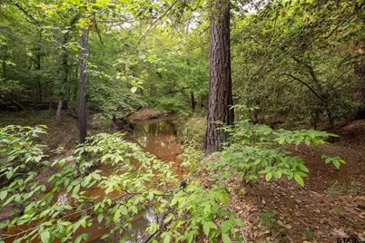 14221 Pine Overlook Dr, Flint, TX 75762 - Photo 18