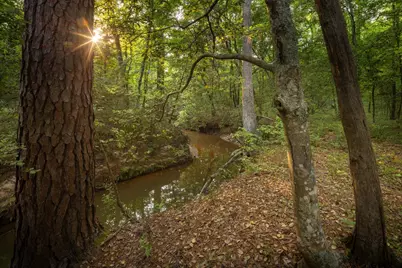 14221 Pine Overlook Dr, Flint, TX 75762 - Photo 10