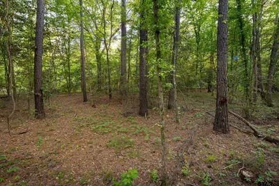 14221 Pine Overlook Dr, Flint, TX 75762 - Photo 12