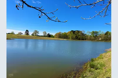 Lot 49 White Oak Creek Ranch, Big Sandy, TX 75755 - Photo 4