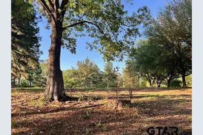 90 County Road 2933, Pittsburg, TX 75686 - Photo 8