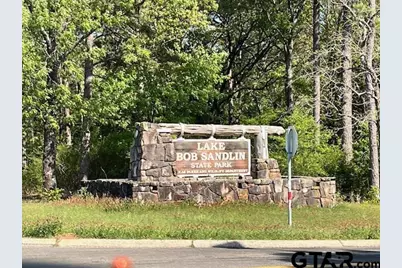 90 County Road 2933, Pittsburg, TX 75686 - Photo 20