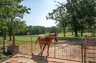 1226 Vz Cr 1211, Canton, TX 75103 - Photo 40