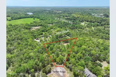 8950 Timber Ridge, LaRue, TX 75770 - Photo 10