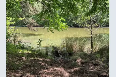 16649 County Road 4252D, Henderson, TX 75654 - Photo 2