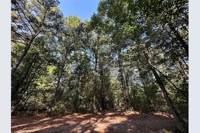 10.13 Acres Fm 852, Gilmer, TX 75644 - Photo 16