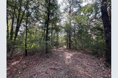 10.13 Acres Fm 852, Gilmer, TX 75644 - Photo 4
