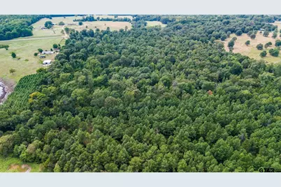 10.13 Acres Fm 852, Gilmer, TX 75644 - Photo 8