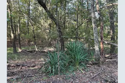 10.13 Acres Fm 852, Gilmer, TX 75644 - Photo 18