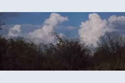 46916 Hwy 69 N, Bullard, TX 75757 - Photo 38