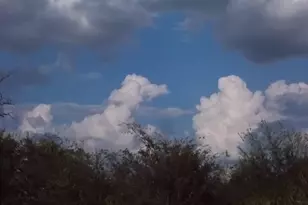 46916 Hwy 69 N, Bullard, TX 75757 - Photo 38