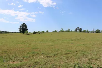 Tbd Wild Daisy Road 50 Acres, Ore City, TX 75683 - Photo 12