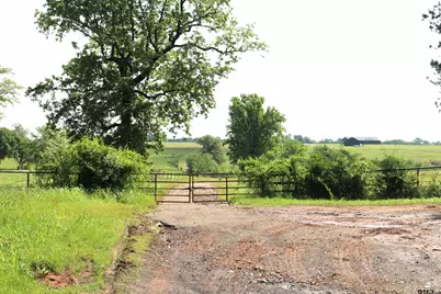 Tbd Wild Daisy Road 50 Acres, Ore City, TX 75683 - Photo 6