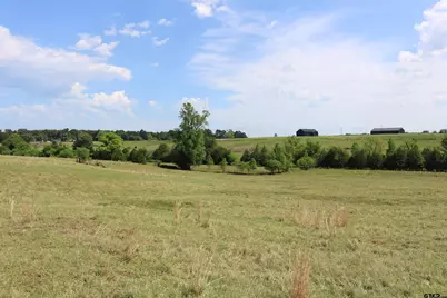 Tbd Wild Daisy Road 50 Acres, Ore City, TX 75683 - Photo 10