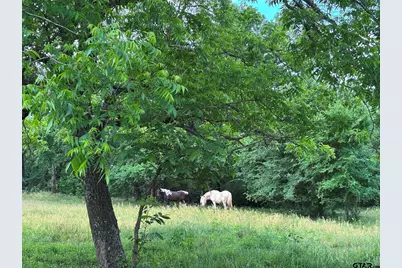 46916 Hwy 69 N, Bullard, TX 75757 - Photo 28