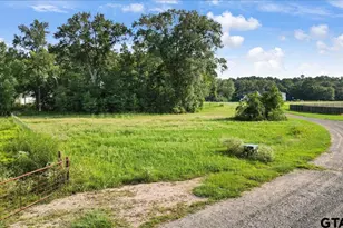 21343 Gatlinburg Rd, Bullard, TX 75757 - Photo 6