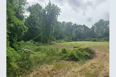 510 W Martin Luther King Jr Boulevard, Tyler, TX 75702 - Photo 1