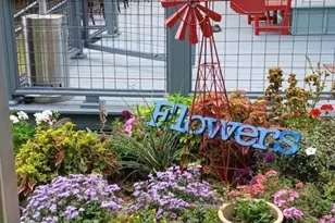 1069 Co Rd 1596, Avinger, TX 75630 - Photo 34