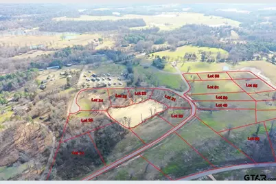 Tbd Lot 50 Southshores, Pittsburg, TX 75686 - Photo 12