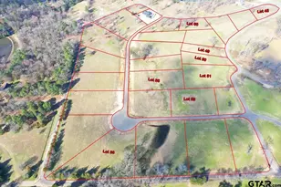 Tbd Lot 36 Southshores, Pittsburg, TX 75686 - Photo 1