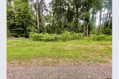 501 Charlya Dr, Bullard, TX 75757 - Photo 6