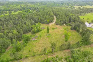 22924 C R 223, Arp, TX 75750 - Photo 30