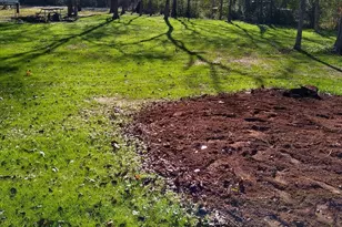 391 Crescent Dr, Bullard, TX 75757 - Photo 4