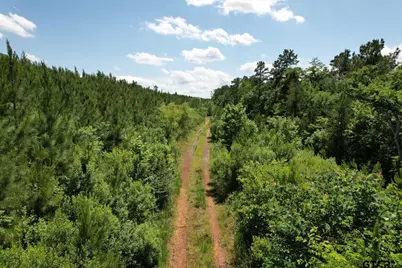 Tbd County Road 3206, Mt Enterprise, TX 75681 - Photo 12