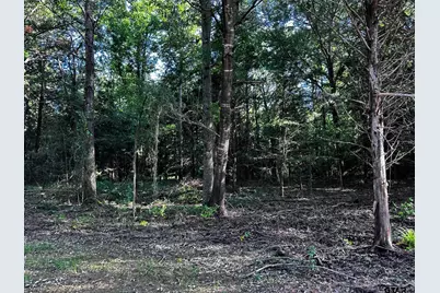 Tract B / 231 Private Road 8507, Van, TX 75790 - Photo 8