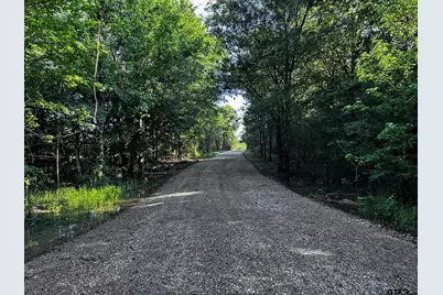Tract B / 231 Private Road 8507, Van, TX 75790 - Photo 2