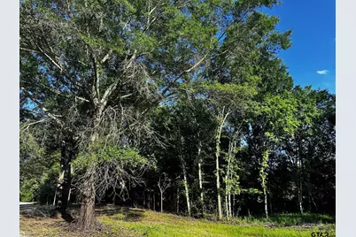 Tract G/ 261 Private Road 8506, Van, TX 75790 - Photo 4