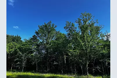 Tract H/ 333 Private Rd 8506, Van, TX 75790 - Photo 6