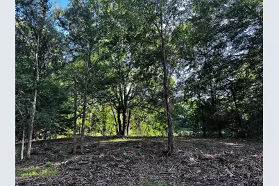 Tract H/ 333 Private Rd 8506, Van, TX 75790 - Photo 4