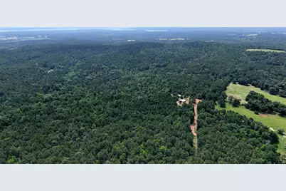 16650 Cr 3419, Brownsboro, TX 75756 - Photo 4