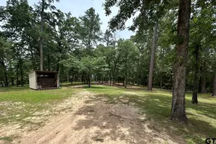 1719 Fm 3052N, Troup, TX 75789 - Photo 36