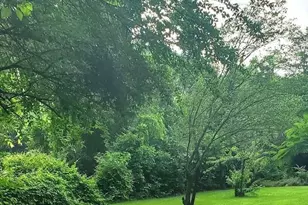 410 Hanes Blvd, Hughes Springs, TX 75656 - Photo 34