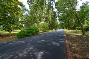 510 E Longview St, Arp, TX 75750 - Photo 2