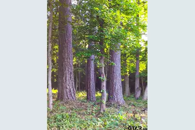 2198 Pinehurst St, Tyler, TX 75703 - Photo 10