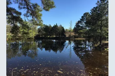 12721 Ridgeway Ct, Winona, TX 75792 - Photo 2
