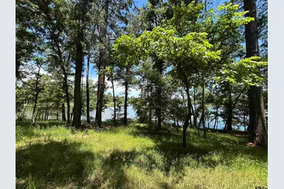 Lot Tr 5B Stevenson Rd, Frankston, TX 75763 - Photo 12