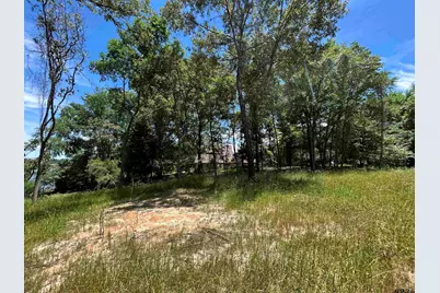 Lot Tr 5B Stevenson Rd, Frankston, TX 75763 - Photo 20
