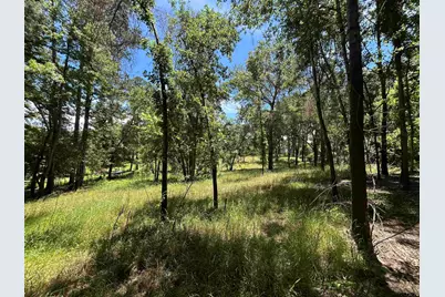 Lot Tr 5B Stevenson Rd, Frankston, TX 75763 - Photo 26