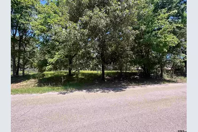 Lot Tr 5B Stevenson Rd, Frankston, TX 75763 - Photo 34