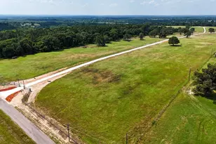 Lot 3 Windy Ln Dr, Bullard, TX 75757 - Photo 6