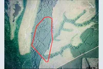 000 Cr 2218, Rusk, TX 75785 - Photo 10