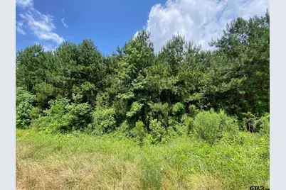 000 Cr 2218, Rusk, TX 75785 - Photo 2