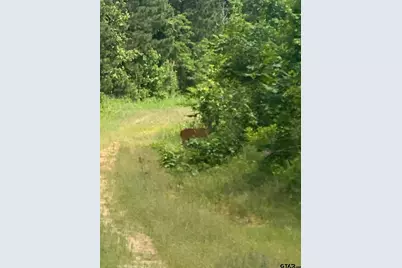 000 Cr 2218, Rusk, TX 75785 - Photo 8