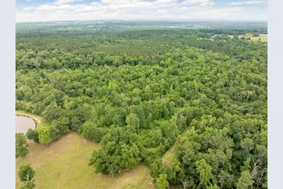 Tbd Fm 2419, Palestine, TX 75801 - Photo 18