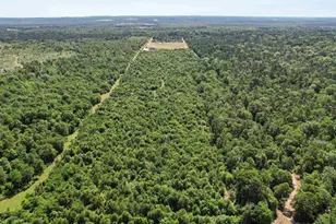 3472 Fm 2869, Hawkins, TX 75765 - Photo 28